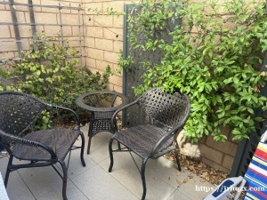 出租一楼美房，房东温和，人员简单