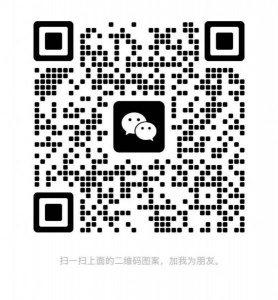 找一个室内乐的伙伴，钢琴以外的乐器的