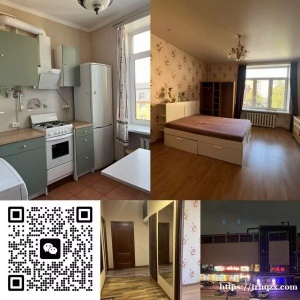 市中心出租房子，无中介费，离噶咧咧十分钟，楼下中餐对面中餐加中国超市，离地铁站走路五分钟。