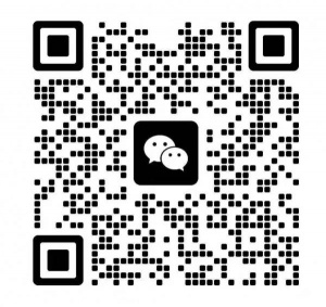 求摩尔曼斯克极光猎人