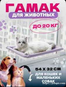 出闲置大号猫砂盆，宠物躺床（可吸到窗户上）