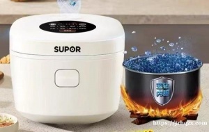 出电饭锅，98新，加工附近自取