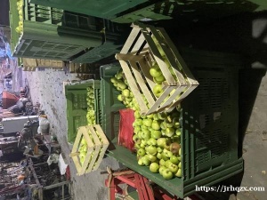 自家果园绿色又大又脆又甜1200第纳尔/箱