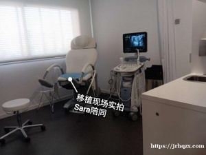 瓦伦西亚专业翻译陪同，9年经验（房产公证、无犯罪证明等）