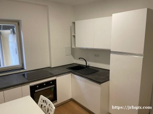 图宾根双人公寓出租其中一间，可an!