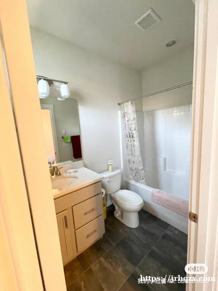 西雅图北独立卫浴大客卧 3月1起租 西雅图北独立卫浴大客卧 3月1起租