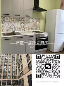 市区一居独立厨房无中介