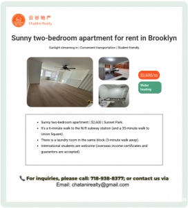 纽约布鲁克林阳光充足的两卧公寓出租