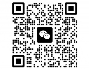 求租一个ИП或者ООО用来签合同，做实体生意