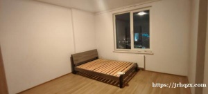 Вилькиций бульвар 7 全新一手房，独楼独院，楼下基础设施齐全，商店众多