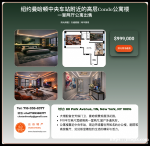 纽约曼哈顿中央车站附近Condo出售