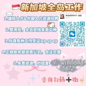 推荐一个朋友新加坡中介公司！