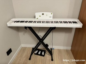 想把这个琴出了