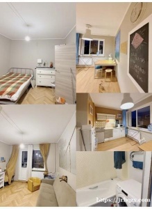 转租 普里莫地铁站 一居室 下楼3分钟到公交站，5分钟到地铁，一卫一浴一厨房，有卧室有阳台