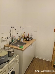 德累斯顿主火附近双人公寓中的一间出nach