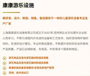 专业定制各类游乐设施