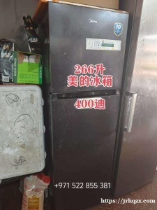 国际城出几个冰箱冷柜，全部完好，功能正常