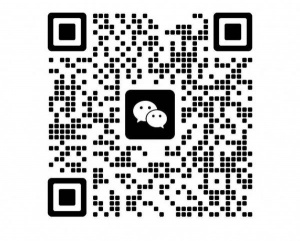 有没有出俄汉词典的