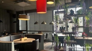 萨尔州｜泰餐+麻辣烫热门旺铺转让