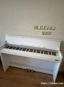 普里莫海边新小区出重锤电钢琴 6.3可送货