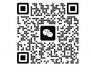 我想找寄养小猫的
