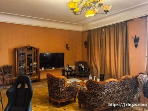 瓦西里岛三居找一室友 地址большой проспект 50 ，180平大房，有电梯，房东事少