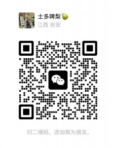 彼得堡瓦西里地铁站楼上短租