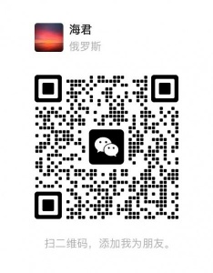 求购 商用双头电磁炉 和厨具