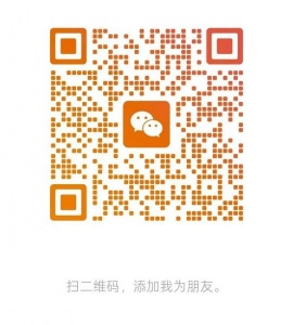 两个人求租近普利莫，瓦西里，市中心地铁站的房子