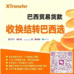 巴西 雷亚尔BRL，实时到账